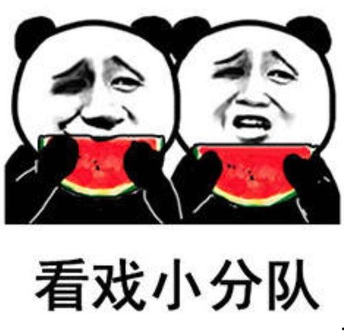 吃瓜表情包怎么回复幽默句子,笑料横生的幽默回复大盘点